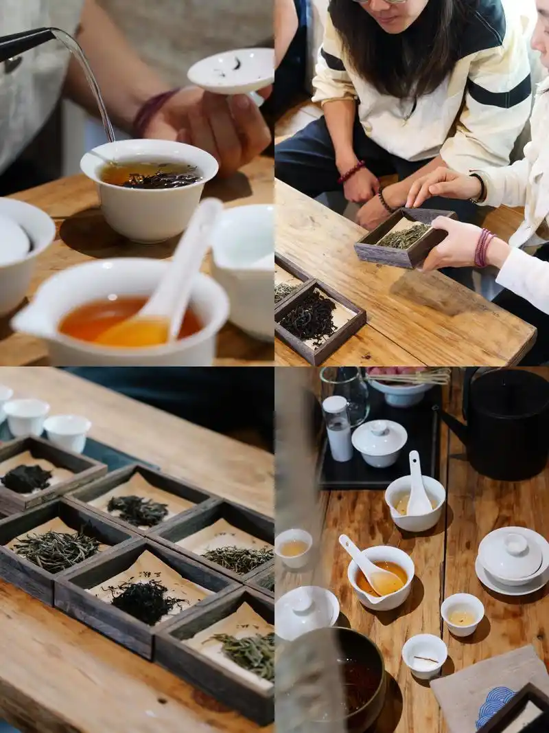 上海品茶同城活动信息